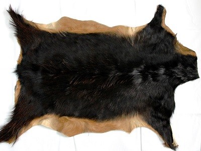 Tapis en peau de chèvre...