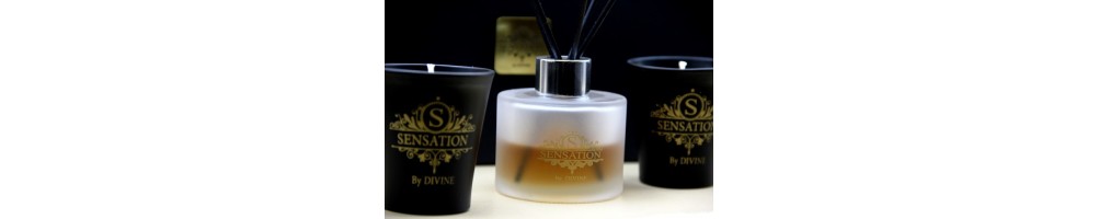 Diffuseur de parfum d'ambiance naturelle anti-allergique